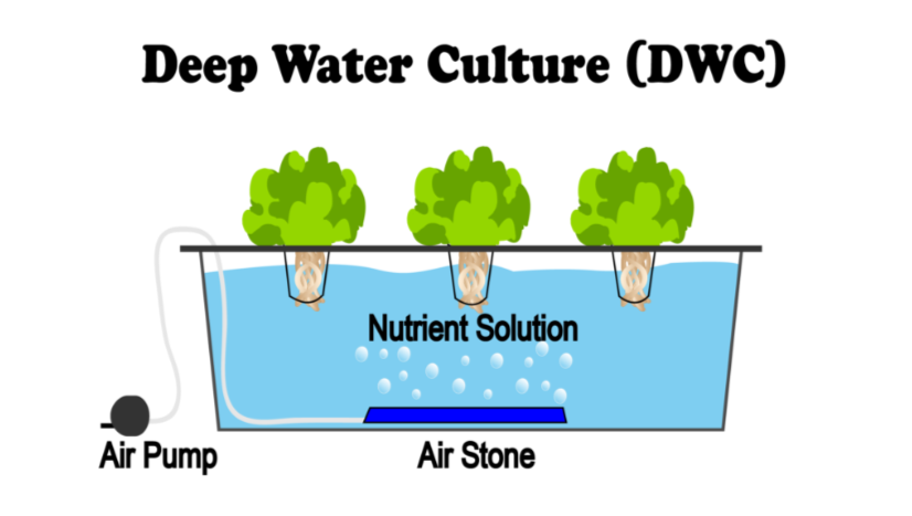 Types Of Hydroponics Farming