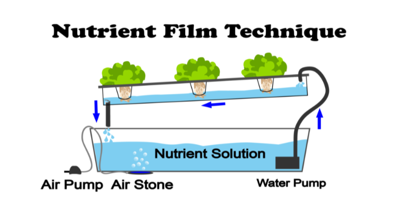 Types Of Hydroponics Farming