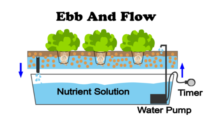 Types Of Hydroponics Farming