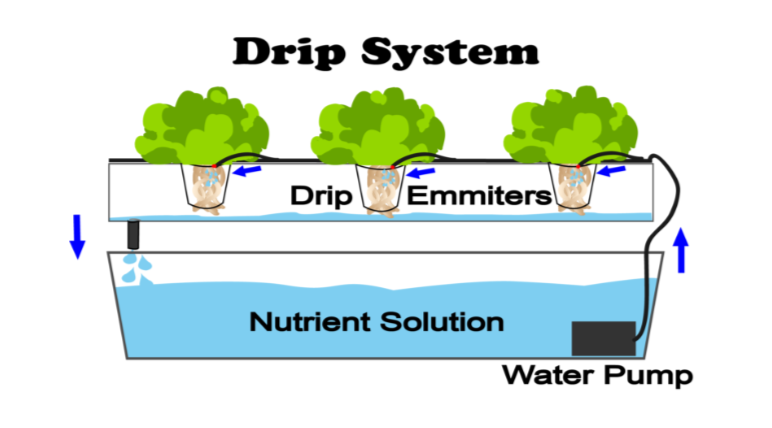 Types Of Hydroponics Farming