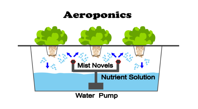 Types Of Hydroponics Farming