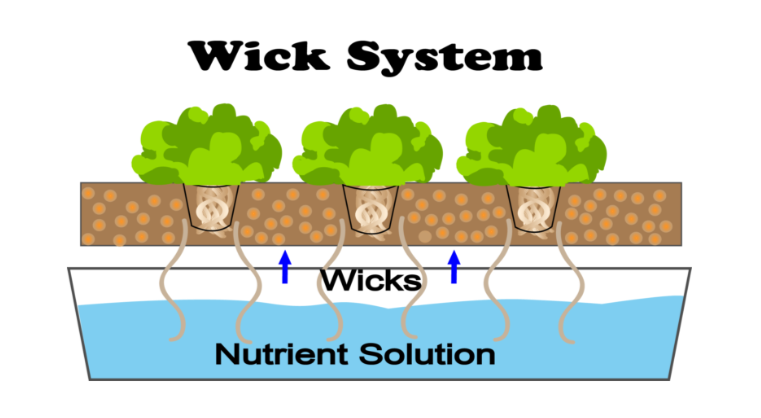 Types Of Hydroponics Farming