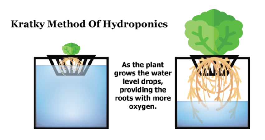 Types Of Hydroponics Farming