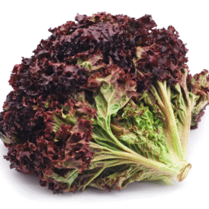 Red Lettuce