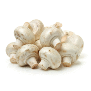 Button Mushroom